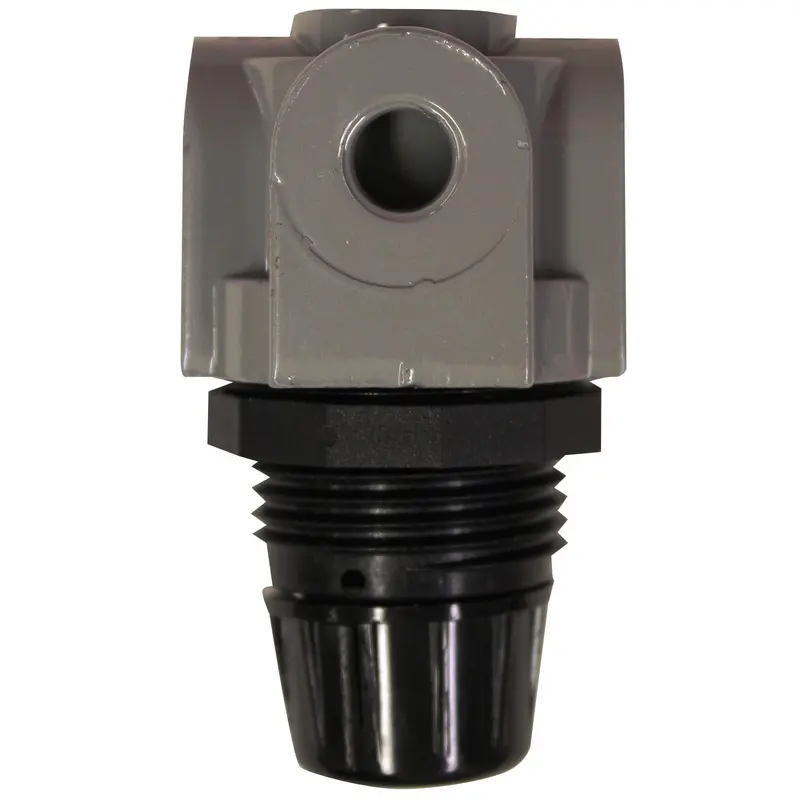1/4" Npt Mini Heavy Duty Regulator 1