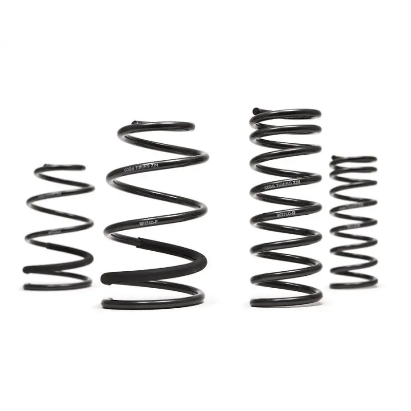 Cobb 2013 Ford Focus St Sport Springs 1