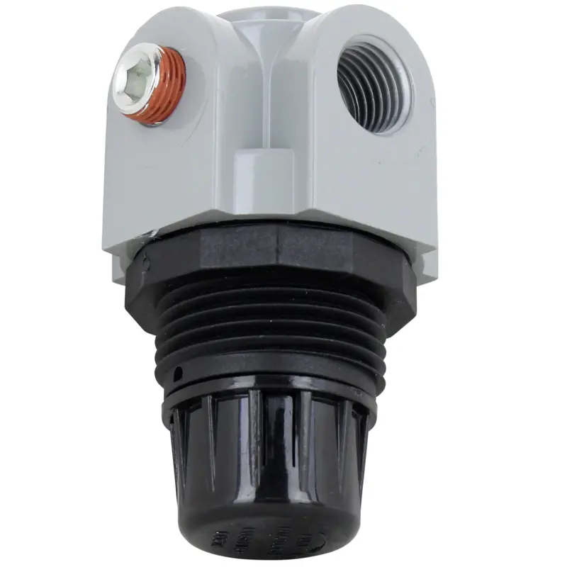 Compact 1/4" Npt Mini Heavy-Duty Regulator 1